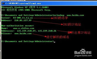 简单好记的2级域名在哪申请？全面指南与优势分析