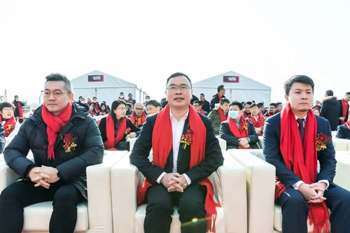 站元素网站空间，打造您的在线世界新领地