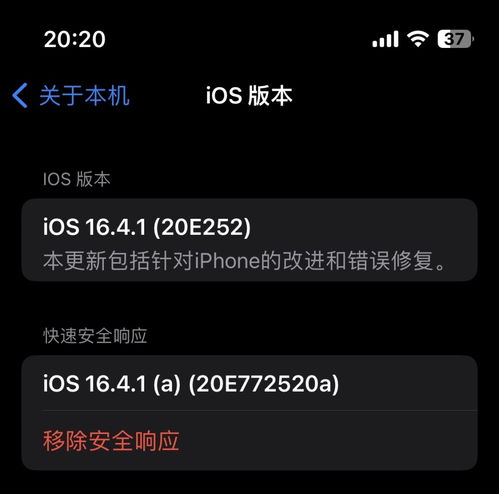 如何评价DNS009，性能、安全性与用户反馈详解