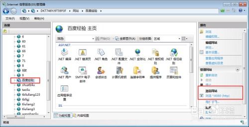 搭建IIS7环境，从本地访问到域名访问的实战指南