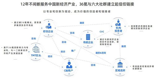 中国湘网，的发展历程、价值定位与未来展望