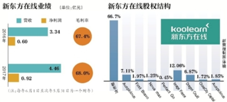 新东方互联网，多元化发展的领导者