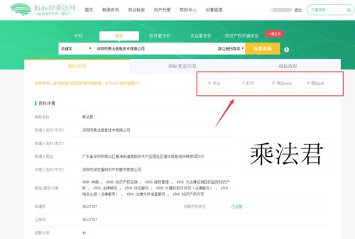 在万网上购买网页域名后，如何高效使用与管理