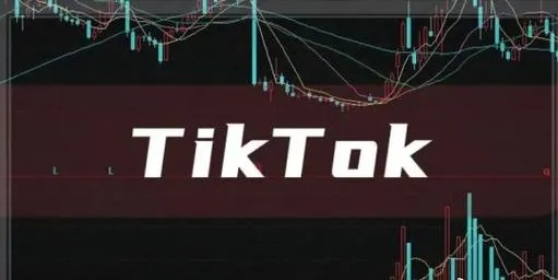 TK域名在国内的困境与未来展望