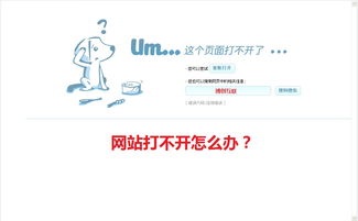 COM与NET，哪个域名更好？