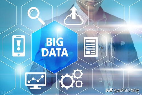 深度解析，酷优数据的特点、优势与实际应用