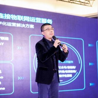 网景互联，探索数字化时代下的网络治理与创新发展