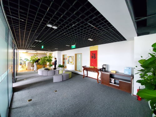 租用服务器，如何选择IDC运营商并获取价格优惠