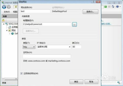 申请花生壳域名并设置IIS，实现本地服务器访问