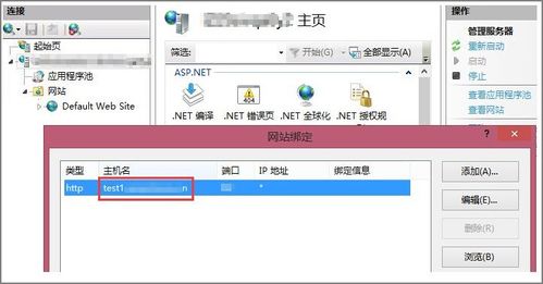 IIS配置泛域名问题详解