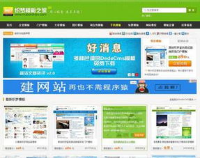 打造个性化网站，从选择首页模板到独立空间域名的全面指南