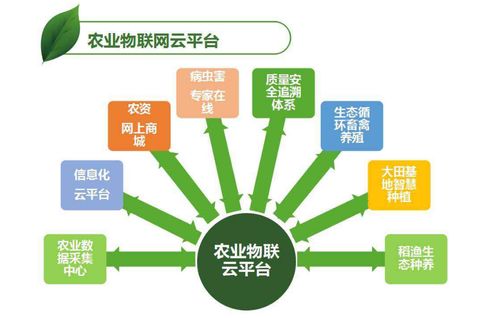 六升网络，解锁数字时代的智慧之选