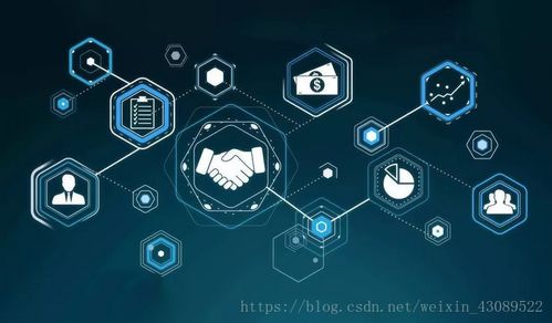 深度剖析，银盾网站—安全守护还是信息安全迷雾？