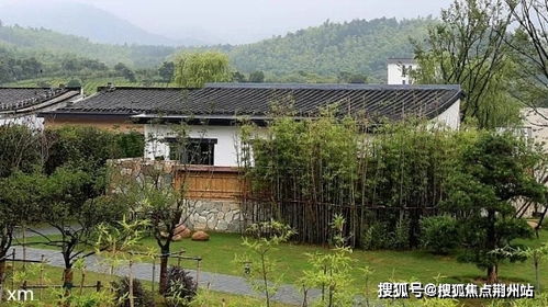 杰克网络的全方位解析与未来展望