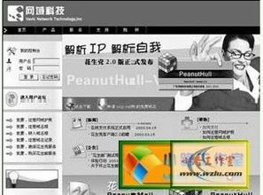 从菜鸟到大师，如何利用一个顶级域名打造你的在线帝国