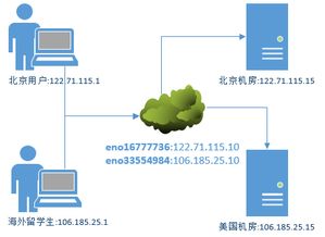 构建网站基石，用户访问前的DNS服务器架设解析