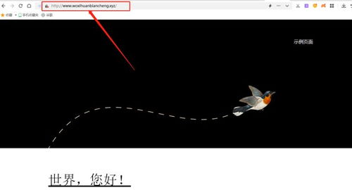 网站发布，是否需要租用服务器？