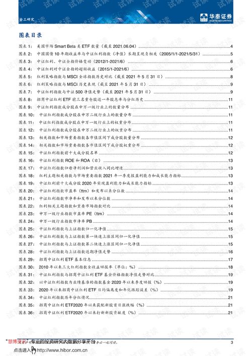 深度剖析，TT HOST—性能、功能与用户体验的全维度解读