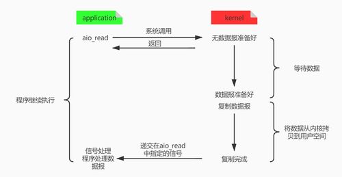 构建高效数据网络，提升效率与安全性的全面指南