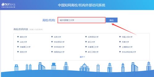 新域名与主机遭遇的黑名单困境，解锁国内访问的指南