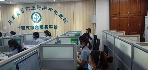 域名注册与网站建设，一站式服务还是分散选择？