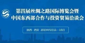域名被抢了怎么办，应对策略与维权之路