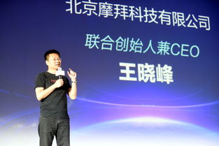 博亿互联，合作共赢，共创数字时代新篇章