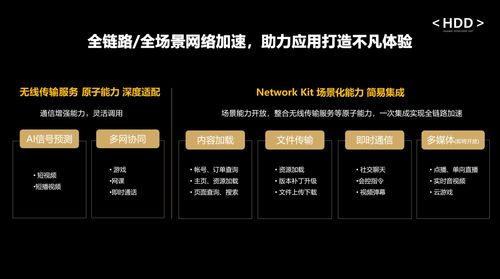 蓝焰网络，创新与连接的多维度探索