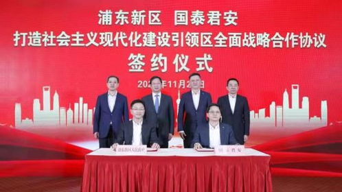寰宇IDC，定制化数据中心服务引领行业变革的先行者