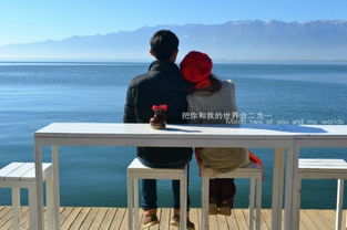 数据背后的细腻情愫，探索爱你的情感数据之旅