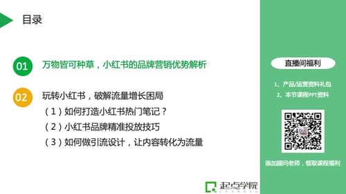 网上购物利器—盛网怎么样？全面解析与深度使用心得