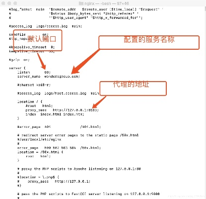 如何获取Nginx反向代理域名