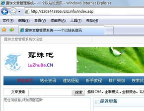 顶级域名能否绑定某个路径的网站首页