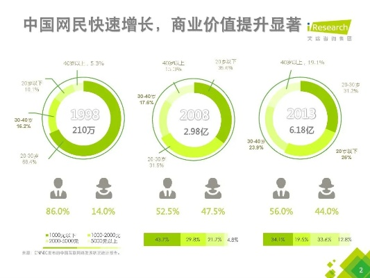 深度解析，中国顶网的现状、优势与未来展望