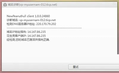 域名与IP地址，解锁Serv-U与花生壳的免费域名使用指南