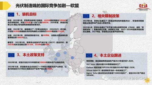 全面解构八一数据，优势、挑战与未来发展展望