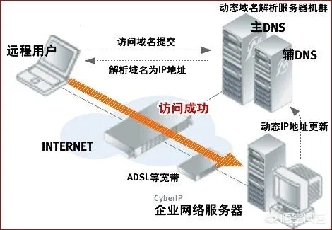 谁能帮我分析一下域名到底是怎么用的？
