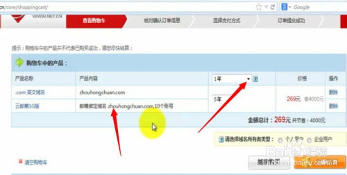 WAP网站建设步骤详解，从域名申请到访问的全过程