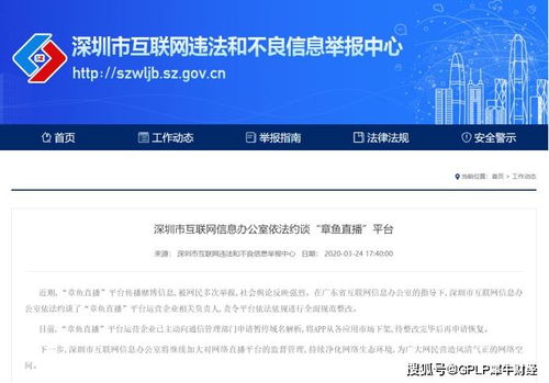 打开主页就显示域名纠错系统，提升用户体验与网络安全的新篇章