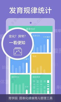 婴童网，从一级域名到二级域名的站长工具深度解析
