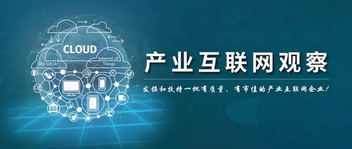 红谷网络的崛起，创新引领数字营销新时代