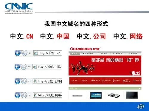 中文域名代表什么意思，探索数字时代下的文化符号与商业机遇