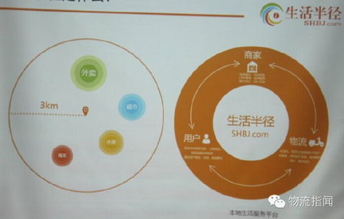 探索番茄互联的奥秘，一场互联网创新与传统农业的完美融合