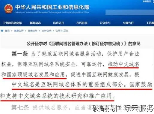国内高校建立WWW网站，域名选择与文化传承