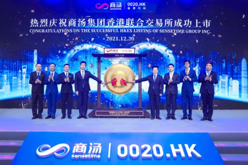 国际域名网，打造您的全球品牌，开启数字化时代新篇章