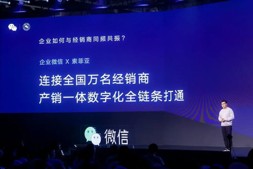 捷程网络，一个卓越网络科技企业的深度剖析