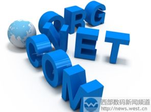 如何查询域名注册所在公司，全面指南与实用技巧