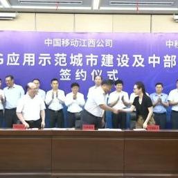 云网数据重塑数字化时代，革新、挑战与前景展望