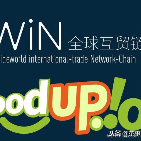 IO与CC，探索域名世界的独特魅力