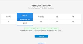 免费网站与顶级域名的绑定，一场意外的网络之旅